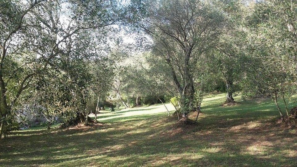 Karamali Green Danilia Villas Gouvia Ngoại thất bức ảnh